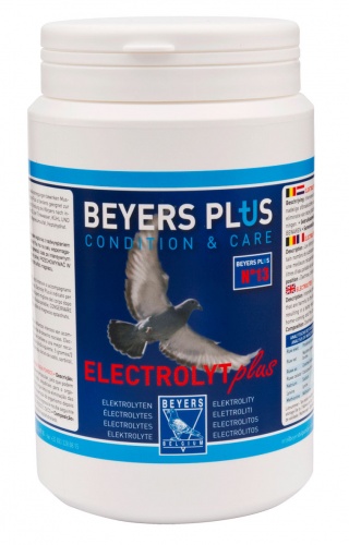Beyers Elektrolyt (Electrolyte)