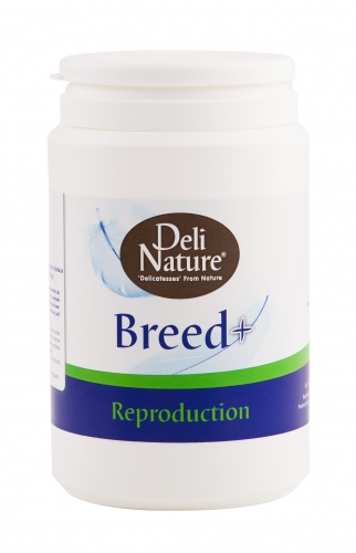 Deli Nature Breed + (Reproduction)