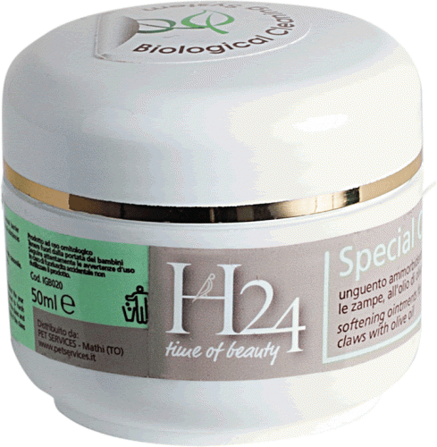 H24 Special Care