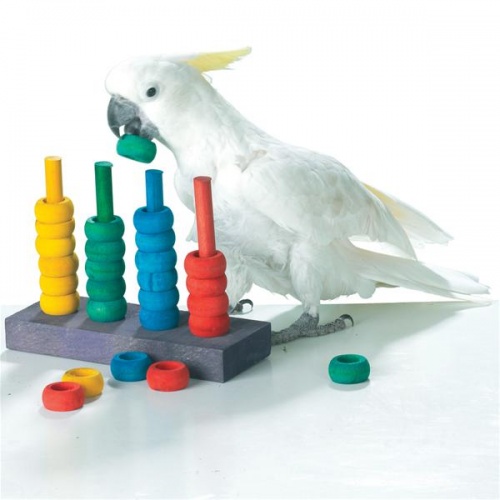 Zoo-Max Teacher Toy Parrot Learning Game