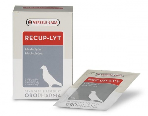 Versele Laga Oropharma Recup-Lyt Electrolytes